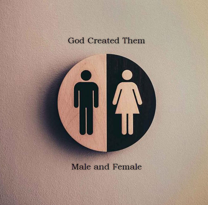 Gender Idenity – God Created
