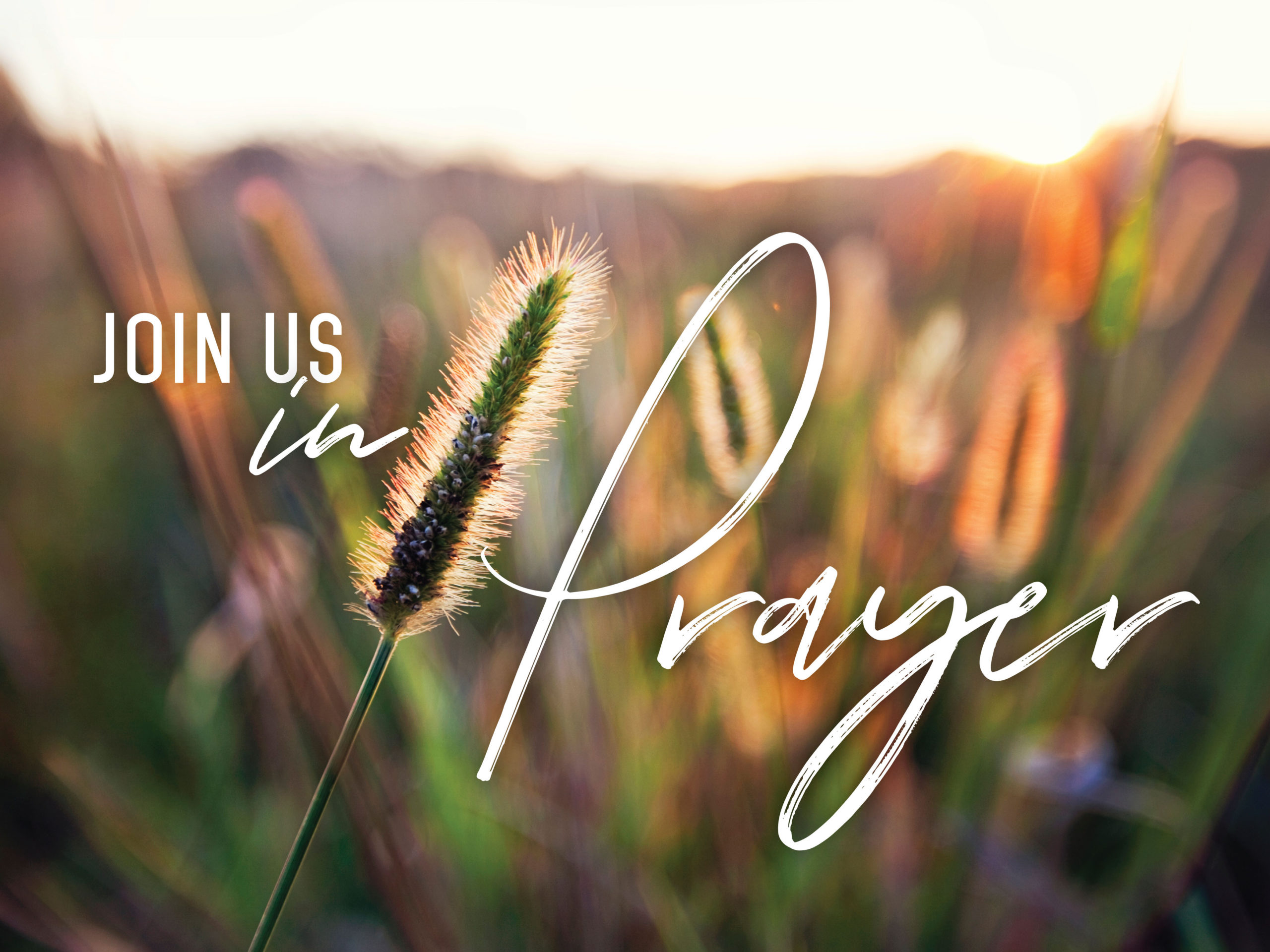 Join Us in Prayer