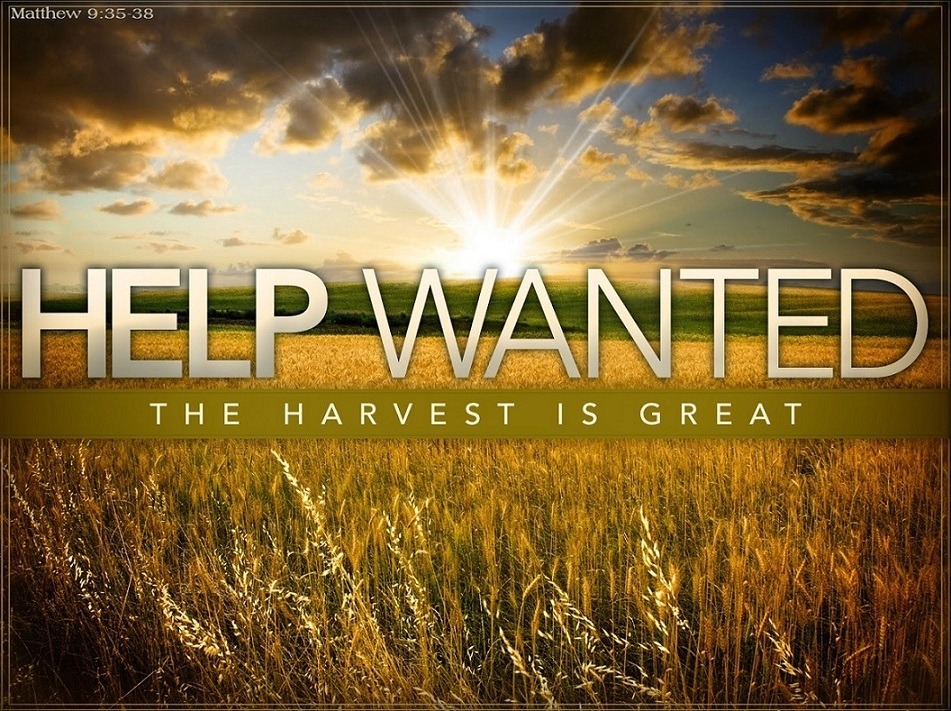 Matt 9.35-38 The Harvest