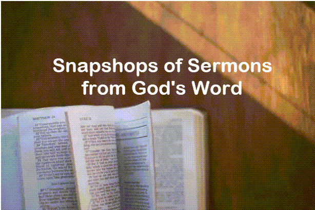 Snapshots of Sermons