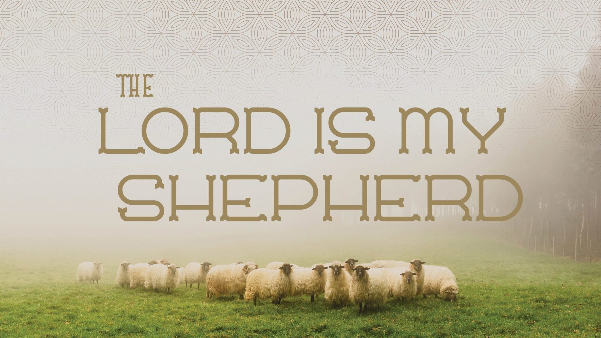 Discipleship Shepherding – Loch Raven PCA